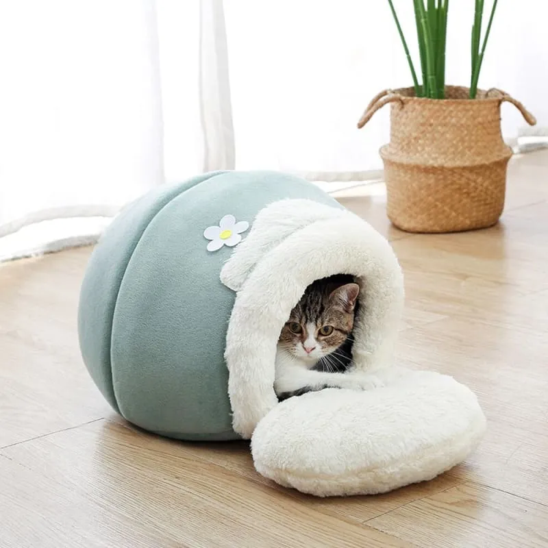 Niche chat en forme de pot de miel 3 en 1 HONEYKAT™