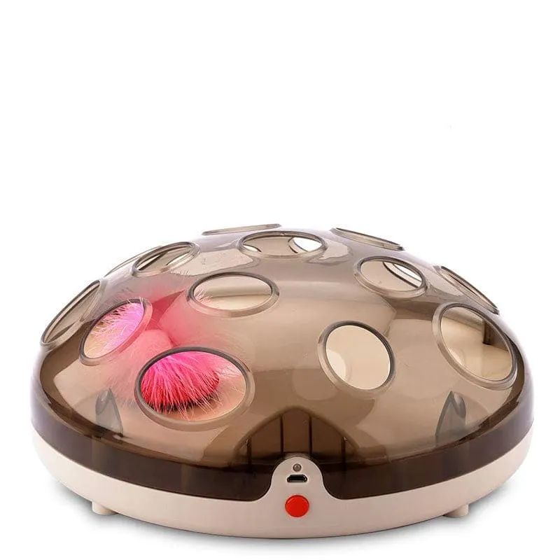 Jouet interactif magnétique à plumes pour chat FLYSKAT™