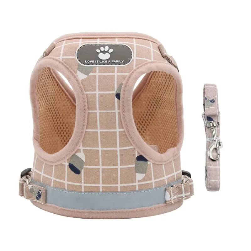 Harnais gilet strié avec laisse pour chat STRYKAT™