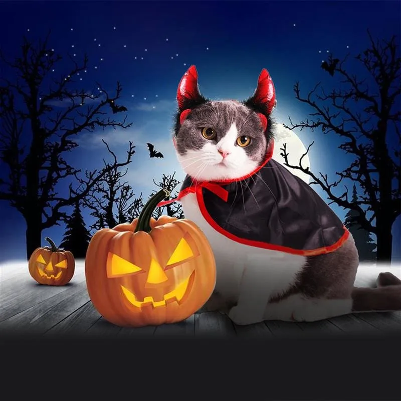 Déguisement Halloween pour chat vampire VAMPSKAT™