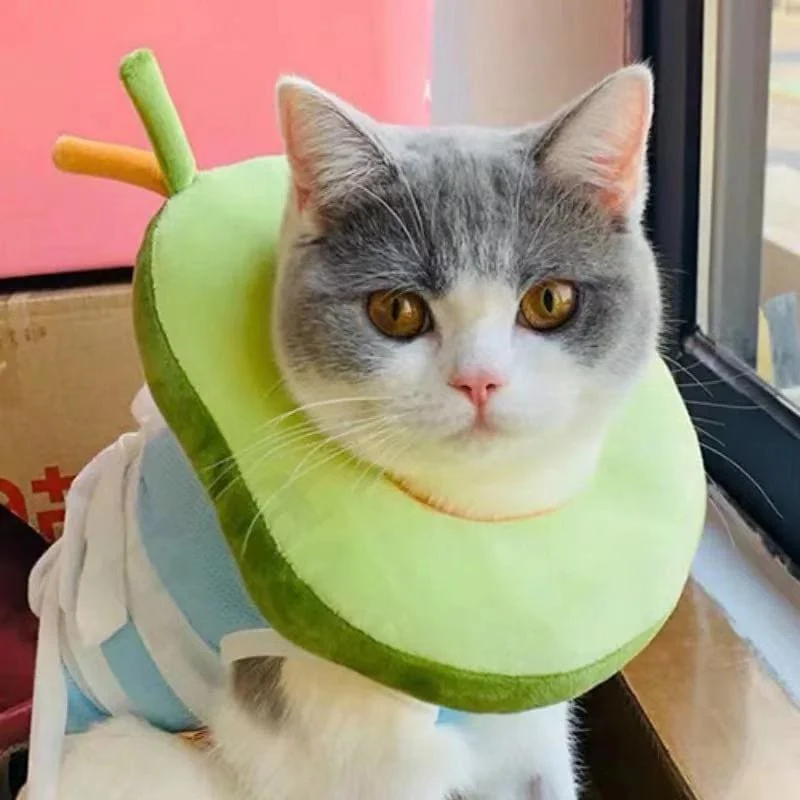 Collerette de guérison ajustable pour chat ELIZAKAT™