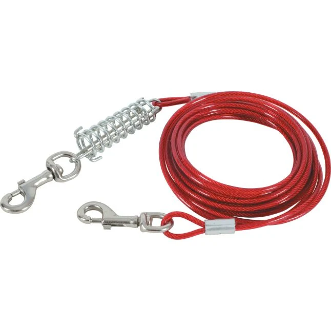 ZOLUX Cable de Sécurité et Ressort