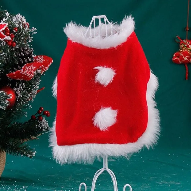 Costume Noel Chat CLOAKAT™