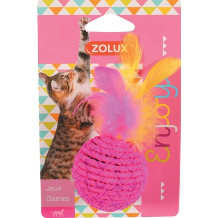 Jouet balle élastique pour chat