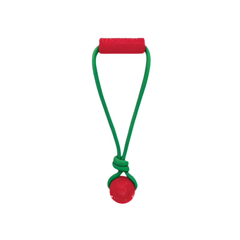 KONG Holiday Jaxx Brights Tug W/Ball