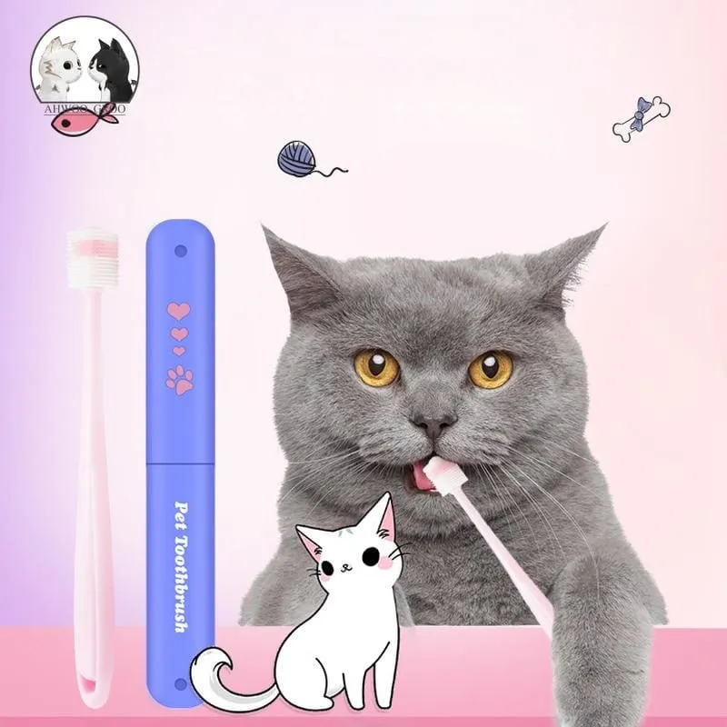 Brosse à dent Pour Chat BRUSHYKAT™