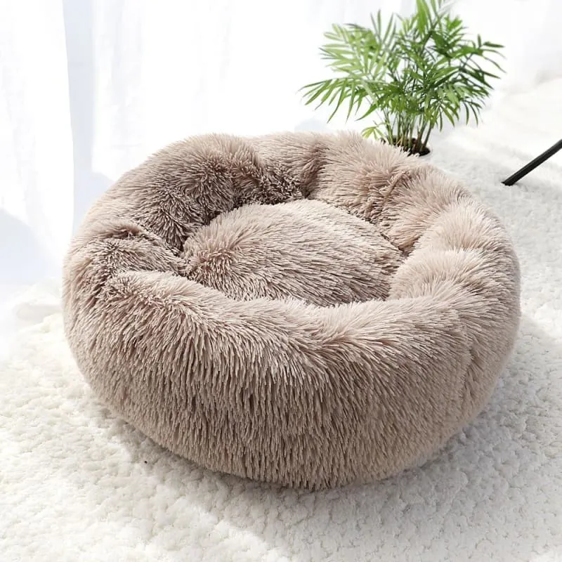 Panier Chat Intérieur BOOMYKAT™