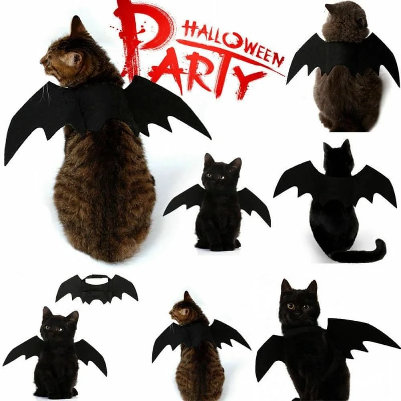 Vêtements Chat Chauve Souris BATKAT™