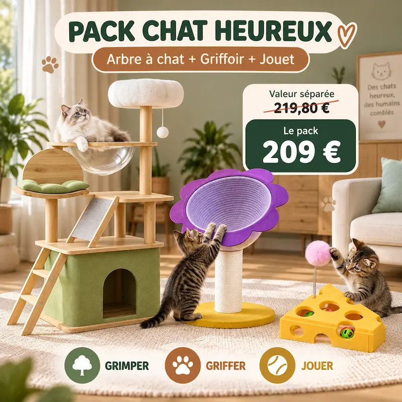 Pack chat heureux – Tout pour jouer, griffer et s’épanouir