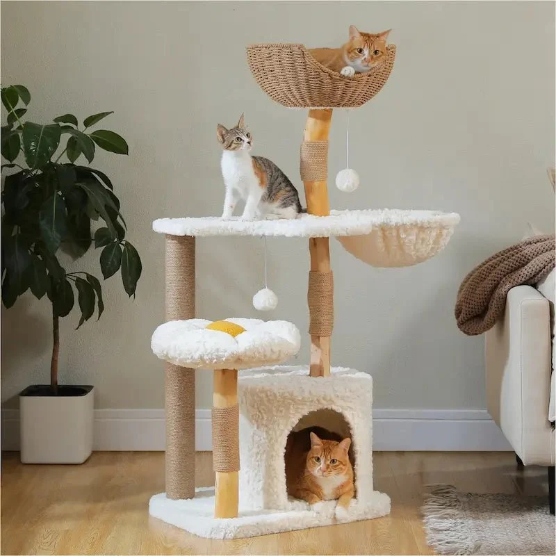 Arbre à chat bois massif avec condo - Confort | Felys