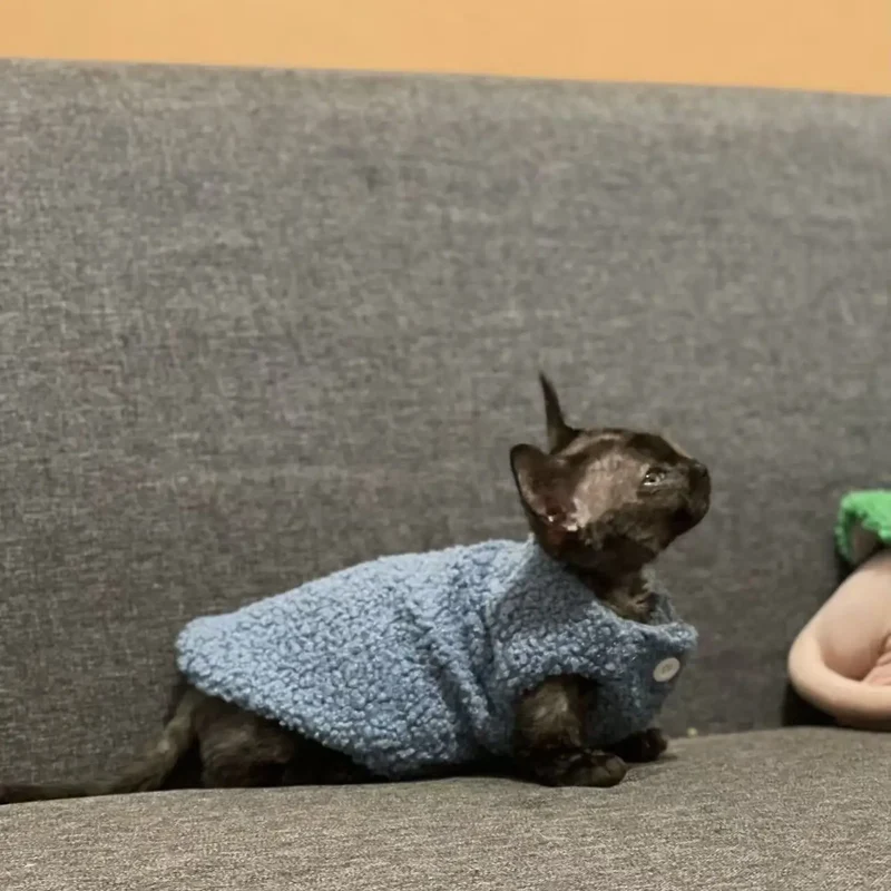 Gilet Polaire Effet Laine D Agneau Pour Chat