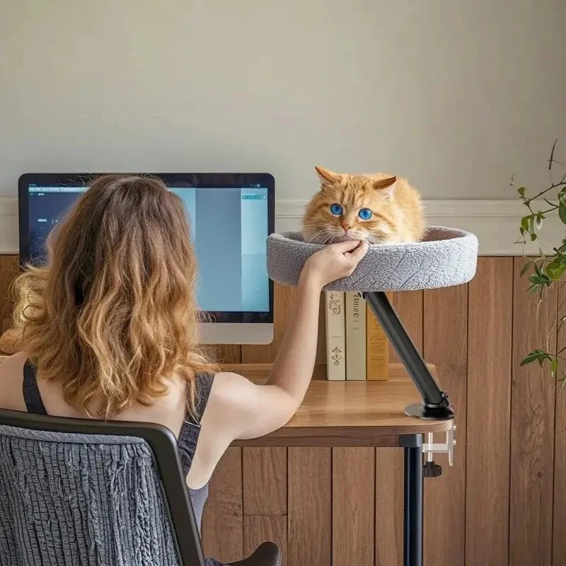 Lit chat bureau – Gain de place & confort | MiaouDesk