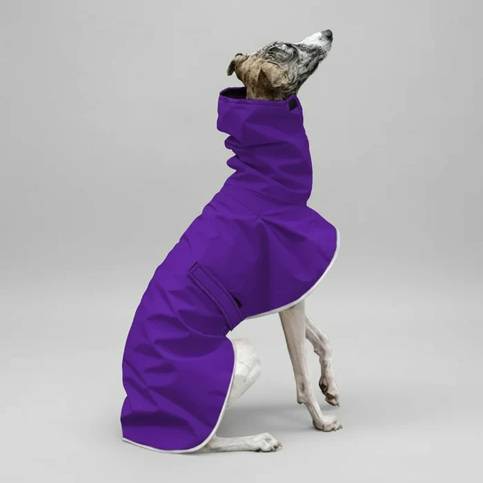 Veste Imperméable Réglable Pour Lévrier
