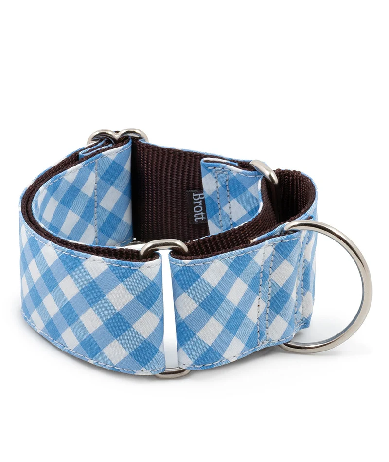 Collier pour Chien Llafranch – Brott Barcelona