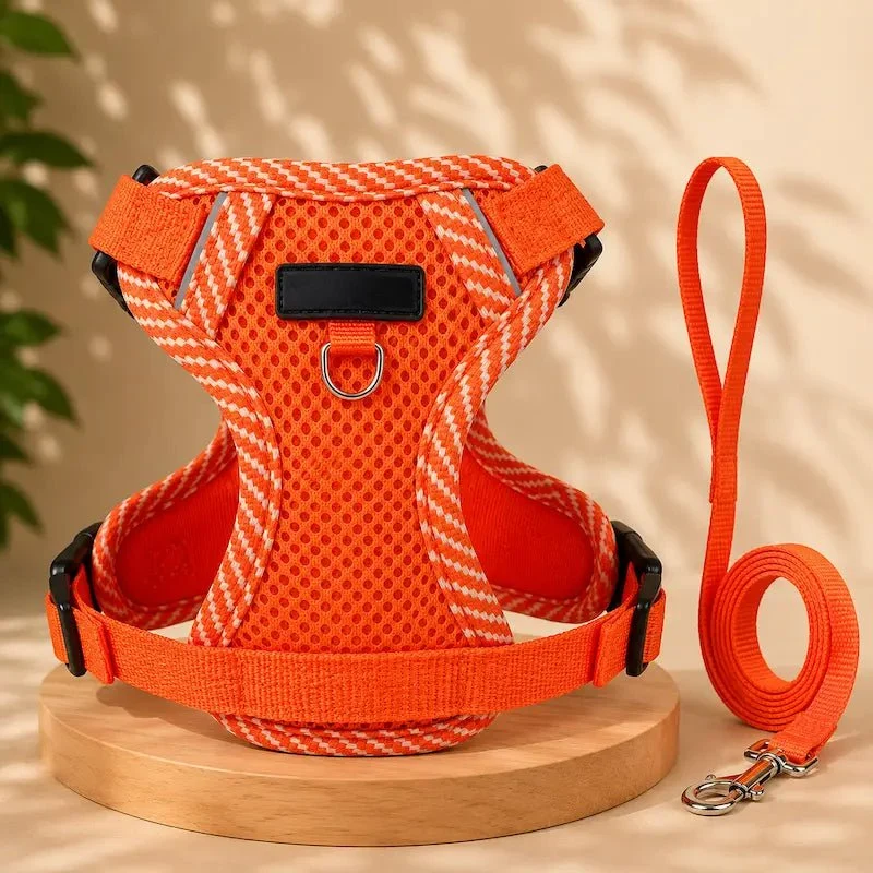Harnais en nylon pour chat - Sécurité & confort | Duomm