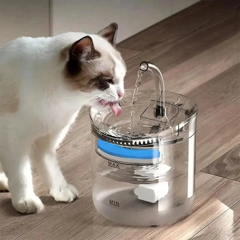 Fontaine chat 2L design avec capteur - Détection auto | SensiFlow