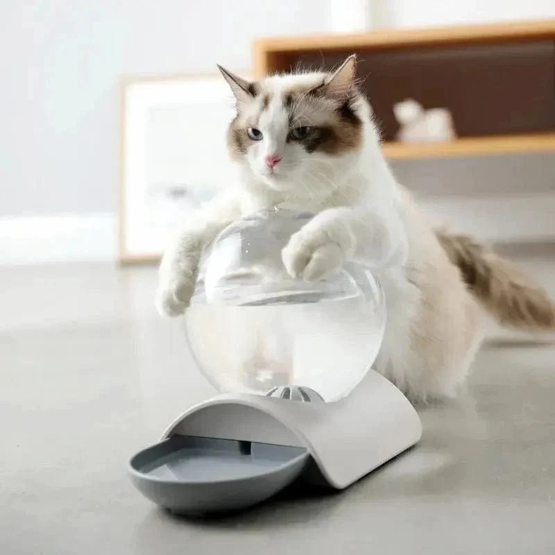 Distributeur eau chat 2,8L - Zéro filtre, zéro contrainte | PureMiaou