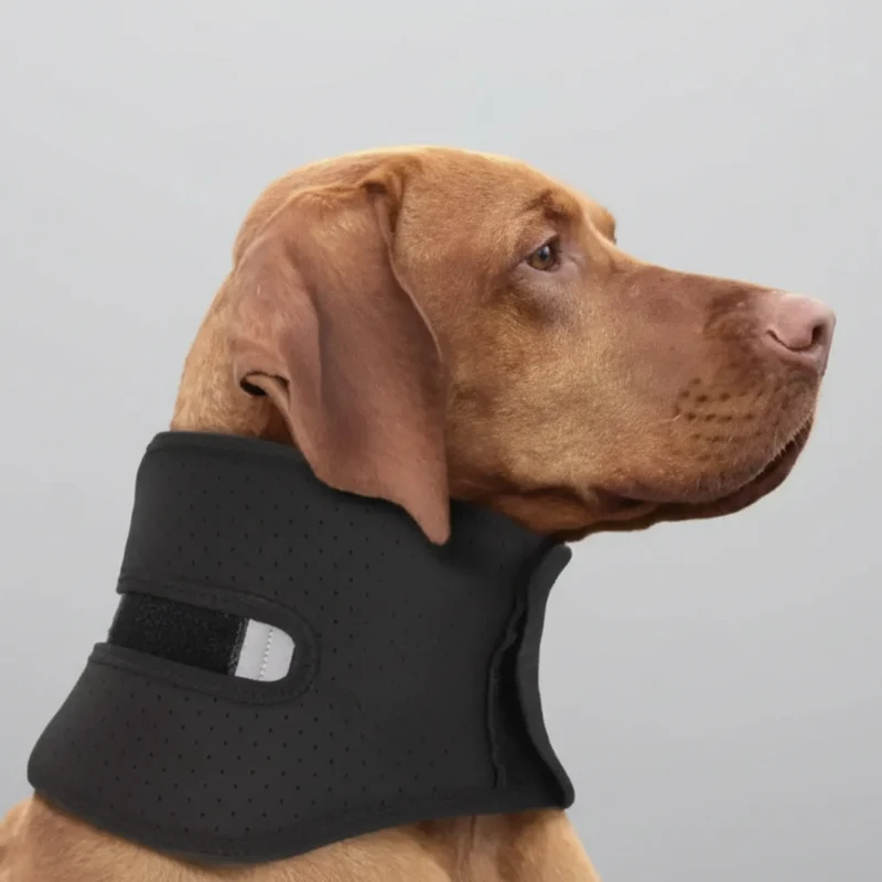 Collerette Confort Anti Léchage Pour Chien