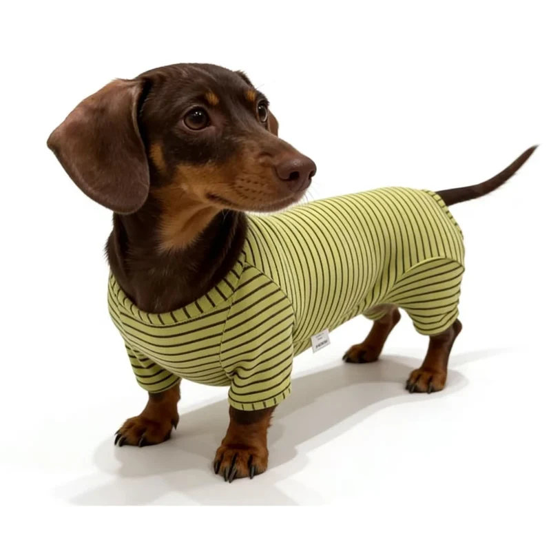 T-Shirt Teckel A Rayures Doux Et Confortable