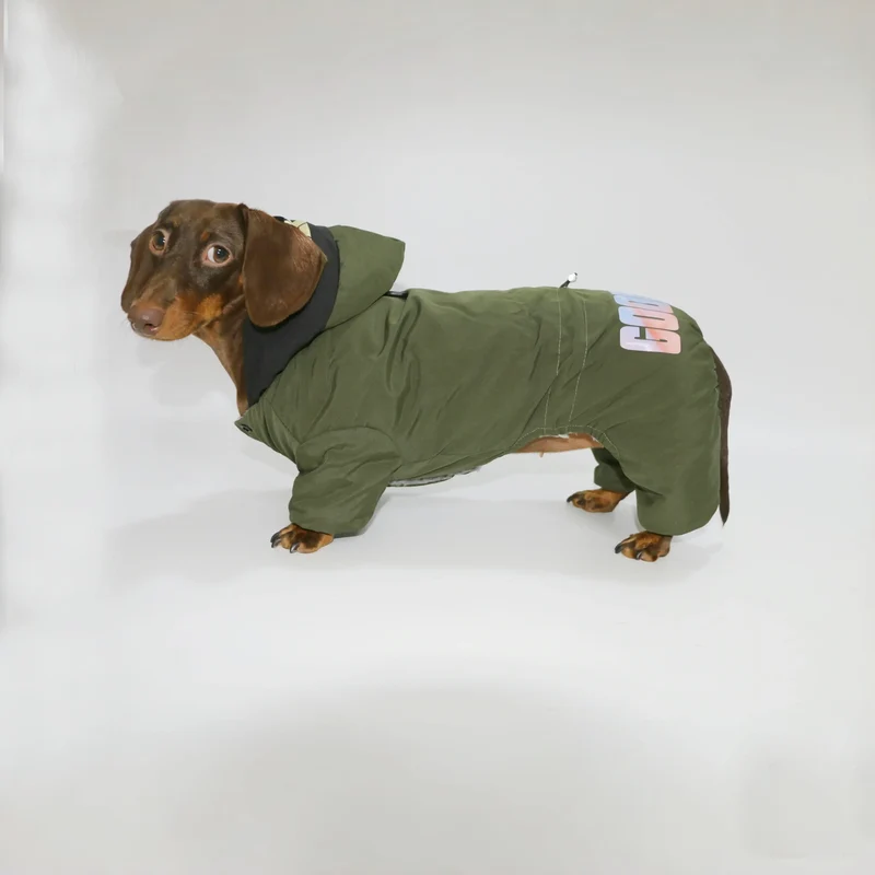 Veste Coupe-Vent Confortable Pour Teckel