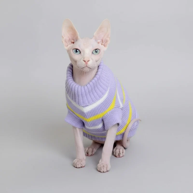 Pull Chaud Pour Chat Sphynx Et Devon