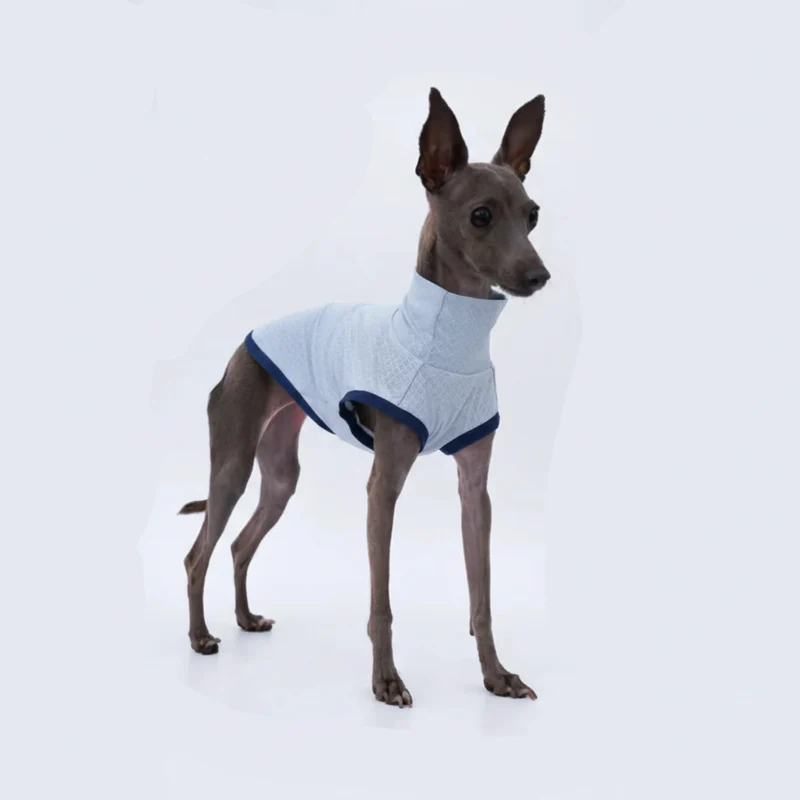 T-Shirt Respirant Et Doux Pour Lévrier