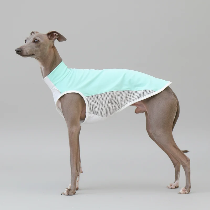 T-shirt Rafraîchissant Pour Lévrier Et Whippet