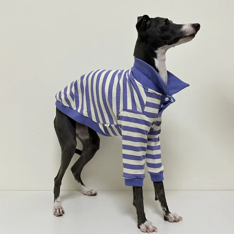Polo Rayé En Coton Pour Chien Lévrier Et Whippet
