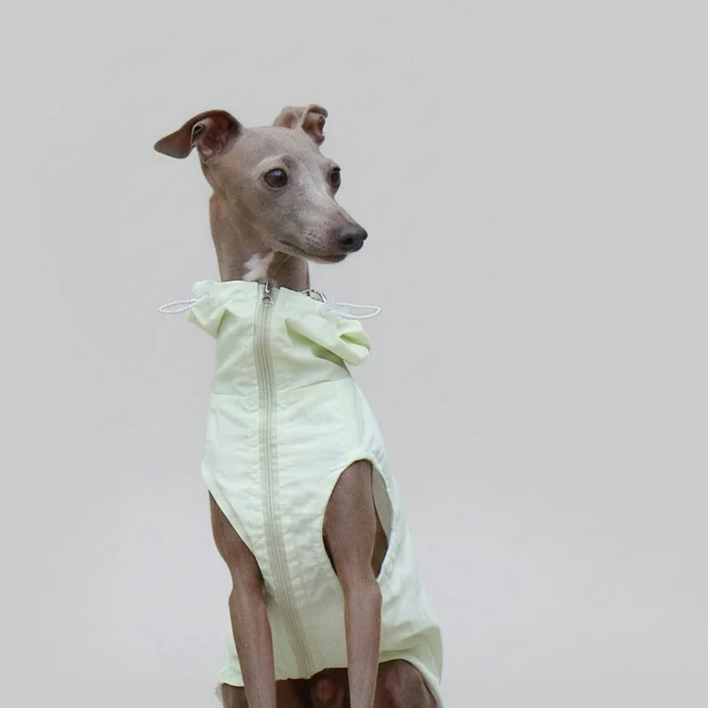 Imperméable A Capuche Pour Lévrier Et Whippet