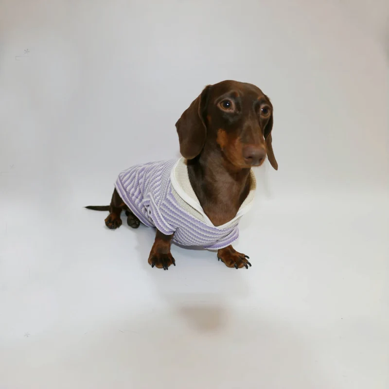 T-shirt Rayé Sans Manche Pour Chien Teckel