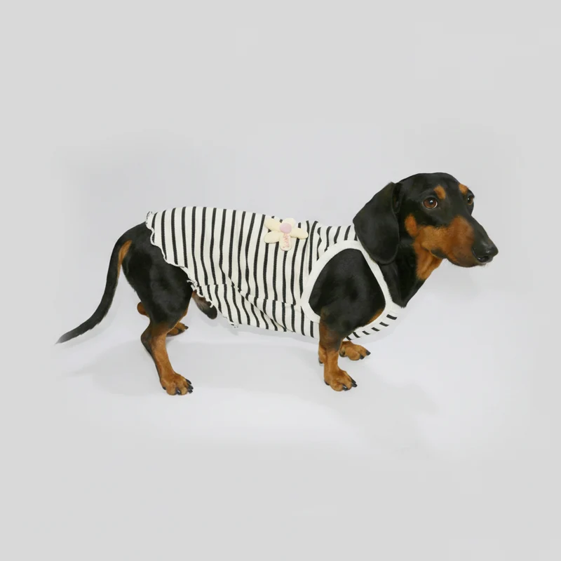 T-Shirt Eté En Coton Pour Chien Teckel