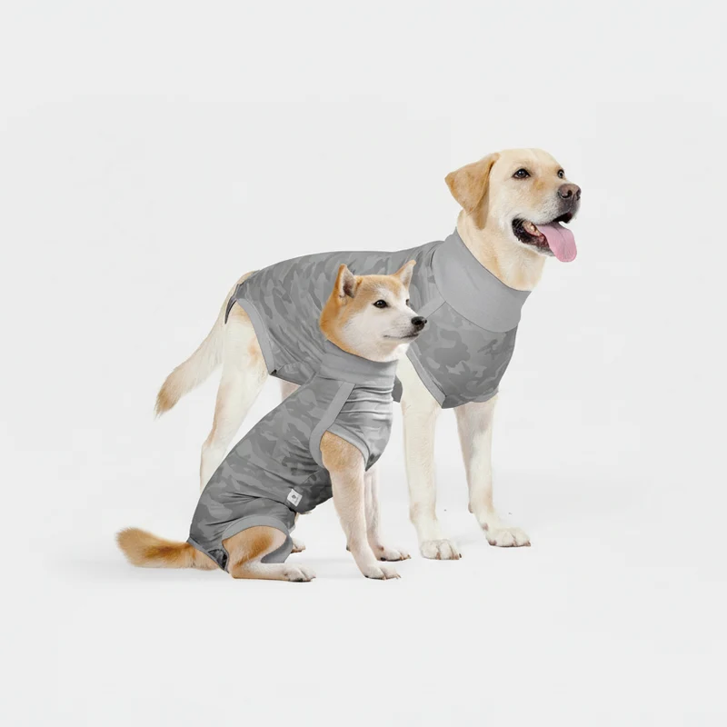 T-Shirt Post Opératoire Pour Les Chiens