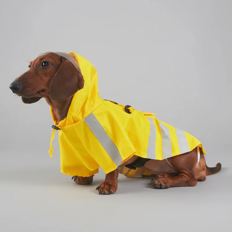 Imperméable Jaune Avec Capuche Pour Teckel
