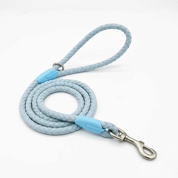 Laisse et collier tressé pour chien robuste et résistant