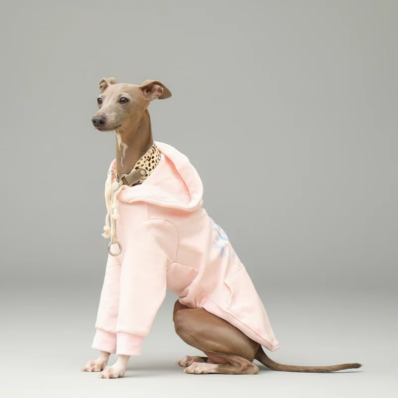 Sweat A Capuche Pour Chien Whippet Et Lévrier