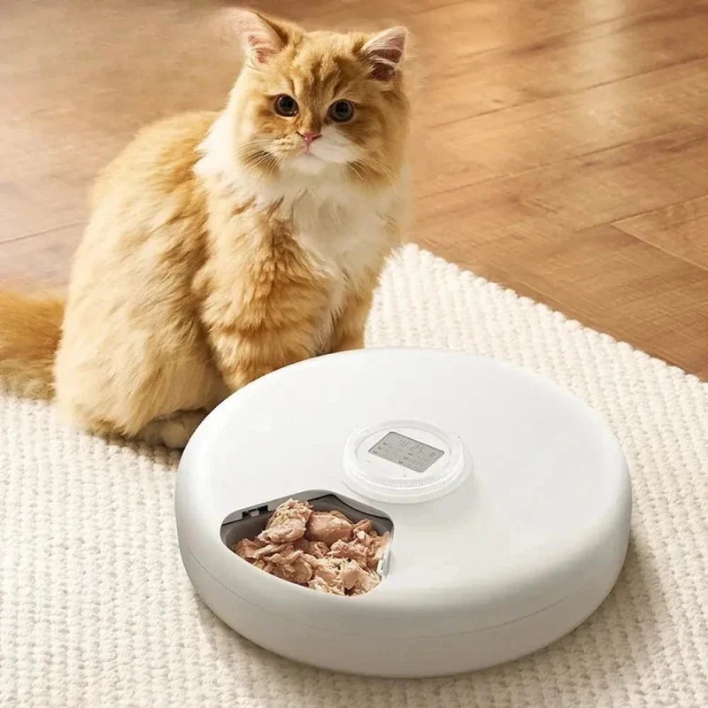 Distributeur automatique croquette 6 repas | Petiplan