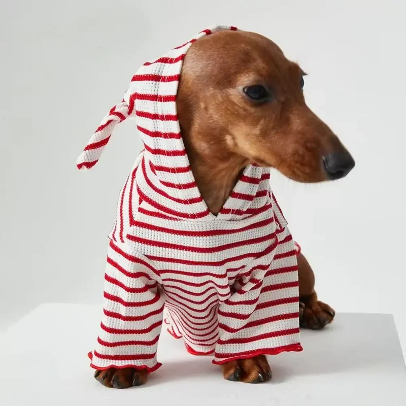Tee-shirt à Capuche Rayé Pour Chiens Teckel
