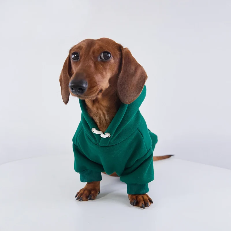 Sweat Coloré A Capuche Pour Chien Teckel
