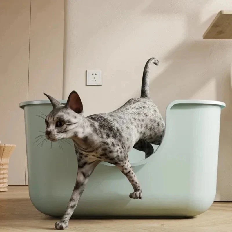 Litière XXL pour Maine Coon – Espace confortable | FéliXL