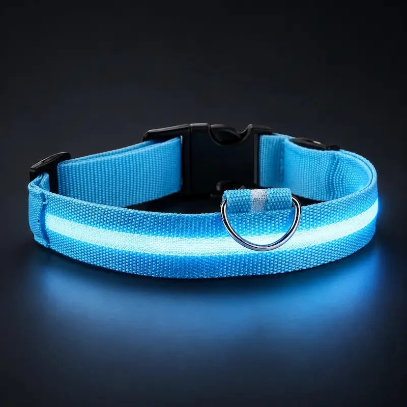 Collier chat lumineux – Visibilité nocturne | GlowCat