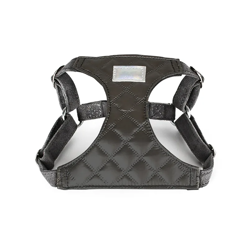 Harnais Avec ou Sans Laisse Design Pour Chien