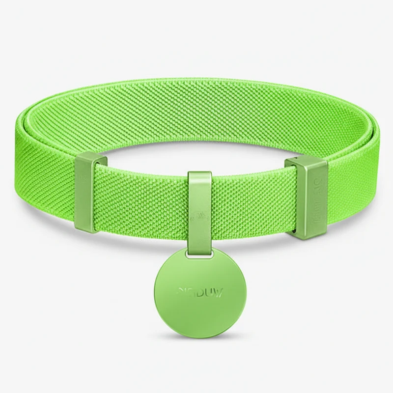 Collier Lumineux Anti Étranglement Personnalisable Pour Petit Chien Et Chat