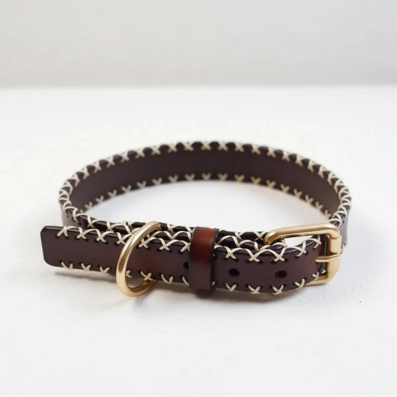 Collier En Cuir Avec Piqures Pour Chien