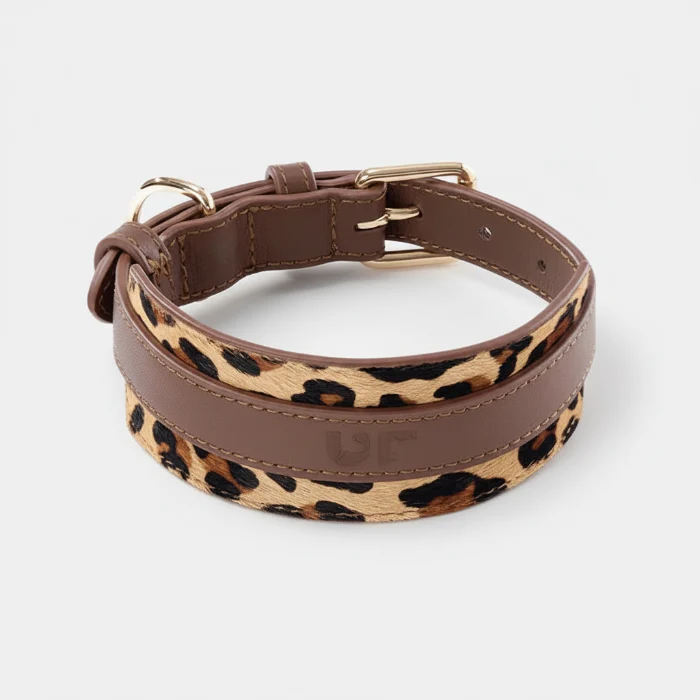 Collier Large Amovible Pour Lévrier Et Whippet
