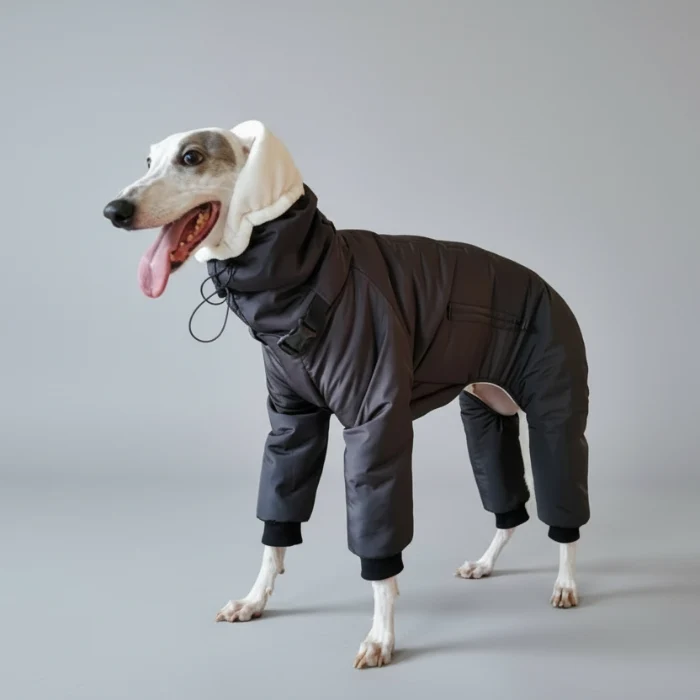 Doudoune Matelassée Pour Lévrier Et Whippet