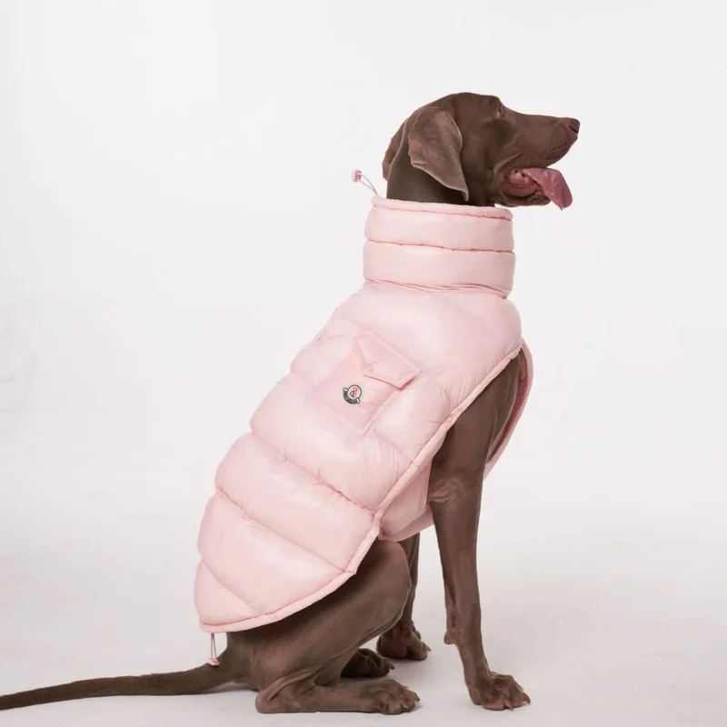 Doudoune pour Chien Avec Capuche Doublé Polaire