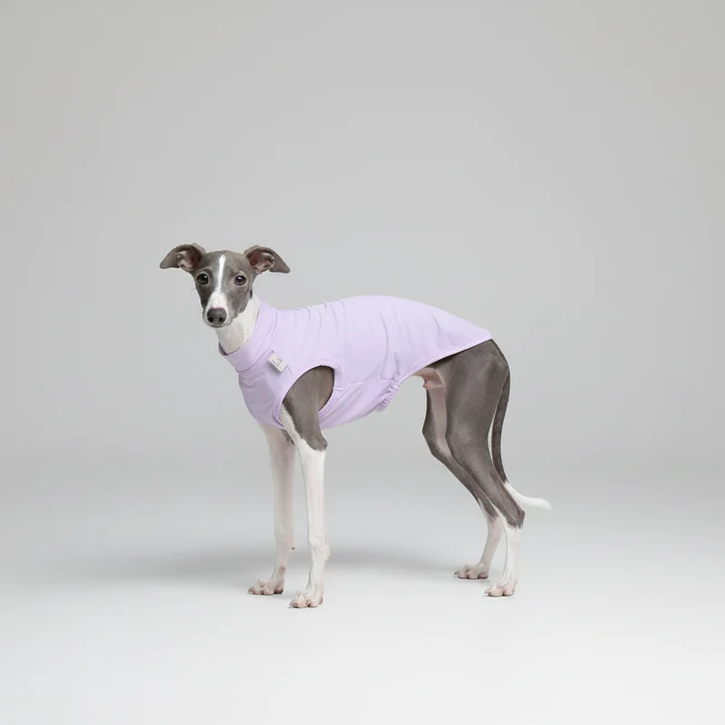 T-shirt De Protection Pour Lévrier Et Whippet
