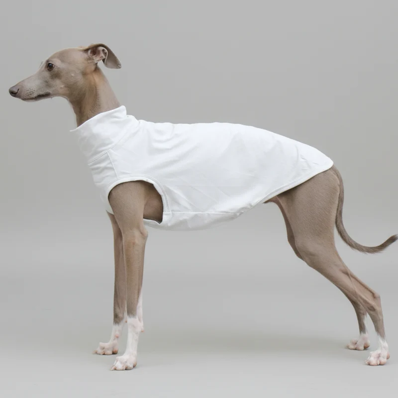 T-Shirt Protection Solaire Pour Lévrier