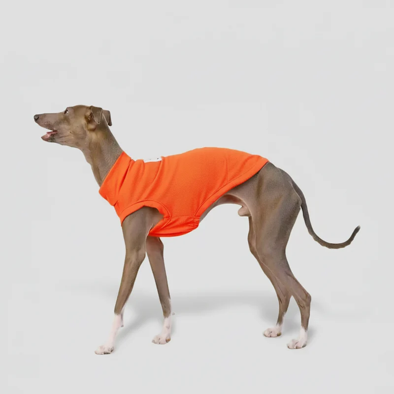 T-shirt Respirant Pour Chien Lévrier Et Whippet