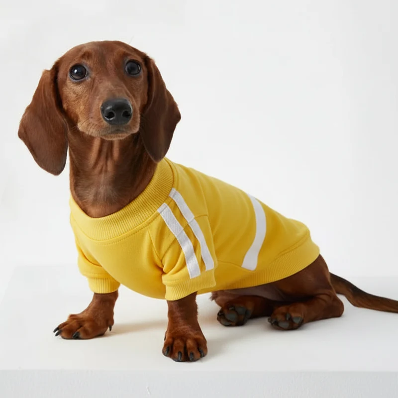 T-Shirt Confortable En Coton Pour Chien Teckel
